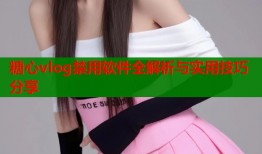 糖心vlog禁用软件全解析与实用技巧分享