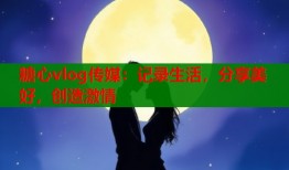 糖心vlog传媒：记录生活，分享美好，创造激情