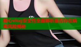 糖心vlog安全性全面解析是否存在病毒风险揭秘
