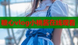 糖心vlog小桃酱在线观看
