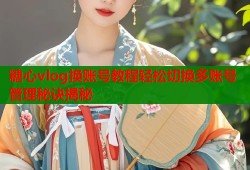糖心vlog换账号教程轻松切换多账号管理秘诀揭秘