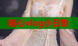 糖心vlog小丑鲁