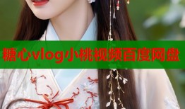 糖心vlog小桃视频百度网盘