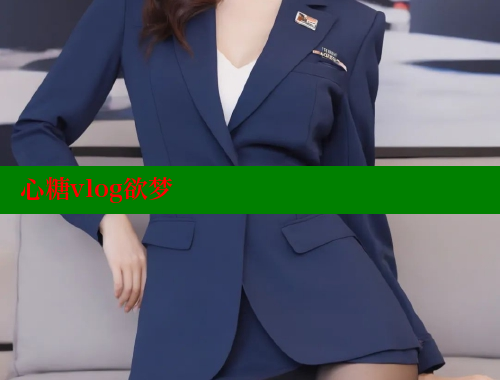 心糖vlog欲梦
