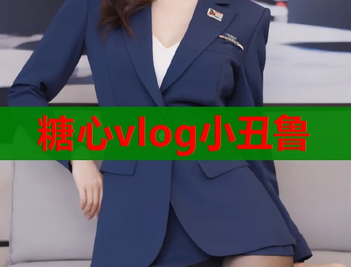 糖心vlog小丑鲁