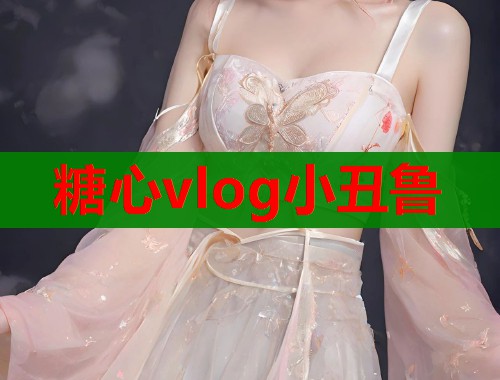糖心vlog小丑鲁