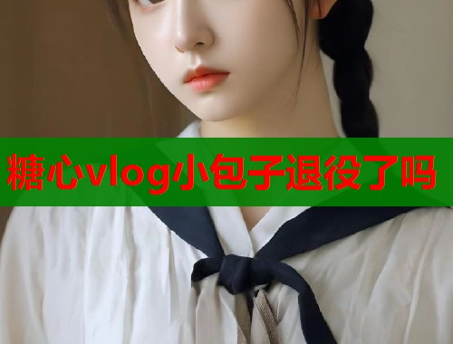 糖心vlog小包子退役了吗