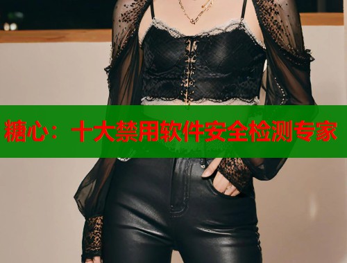糖心：十大禁用软件安全检测专家