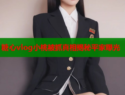 糖心vlog小桃被抓真相揭秘平家曝光